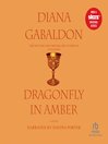 Cover image for Dragonfly in Amber